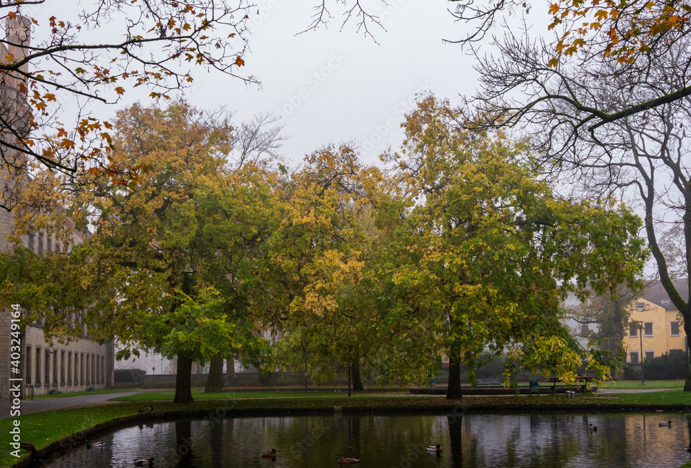Ravensberger Park Bielefeld im Herbst
