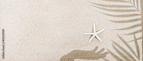 Shadow of female hand and palm tree leaves, starfish on sand, top view, copy space, banner