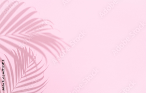 Shadow of tropical palm tree leaf on pink background,  copyspace. Minimal summer concept