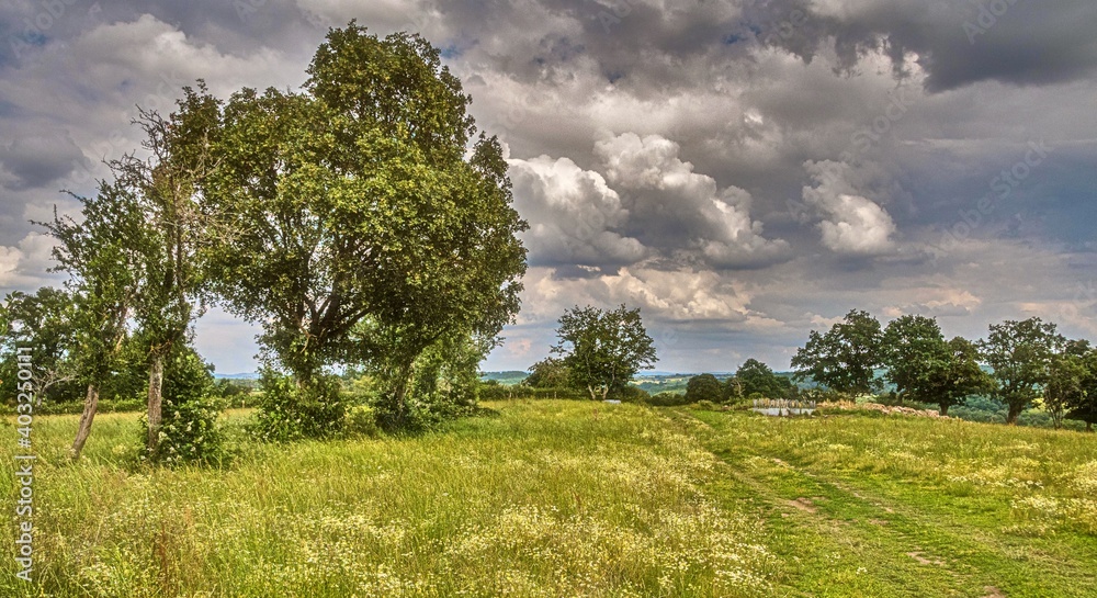 Campagne