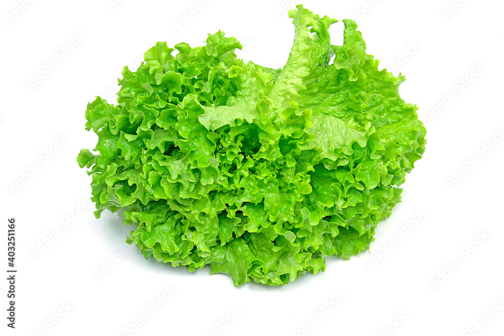 Obraz premium salade batavia isolé sur un fond blanc