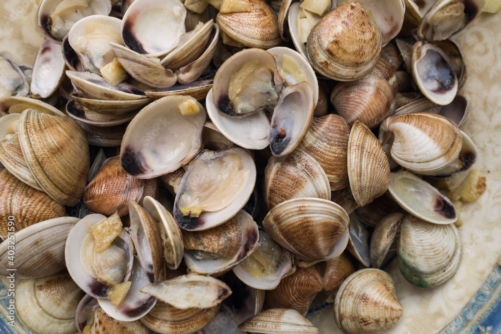 Plate of clams sauteed with garlic. Mediterranean cuisine. sea food, luxurious seafood.