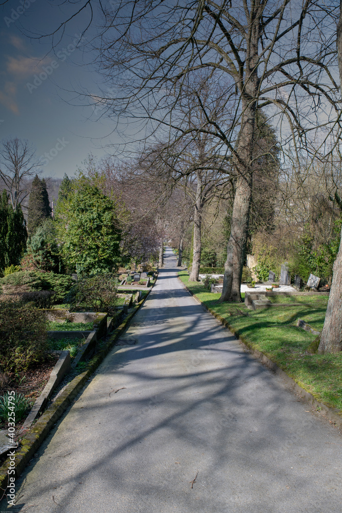 breiter Hauptweg auf einem Friedhof