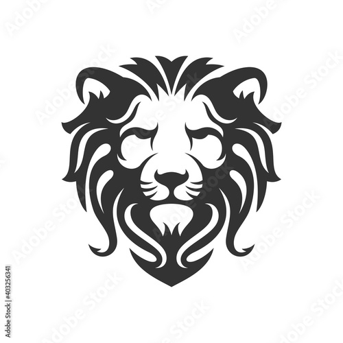 Fototapeta Naklejka Na Ścianę i Meble -  Lion head vintage logo icon illustration