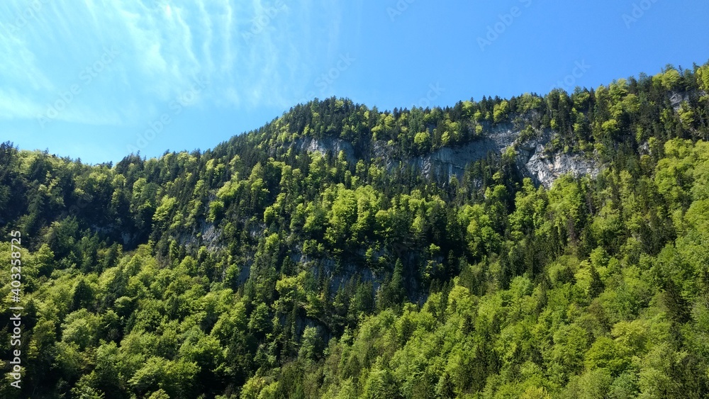 Obraz premium Germany