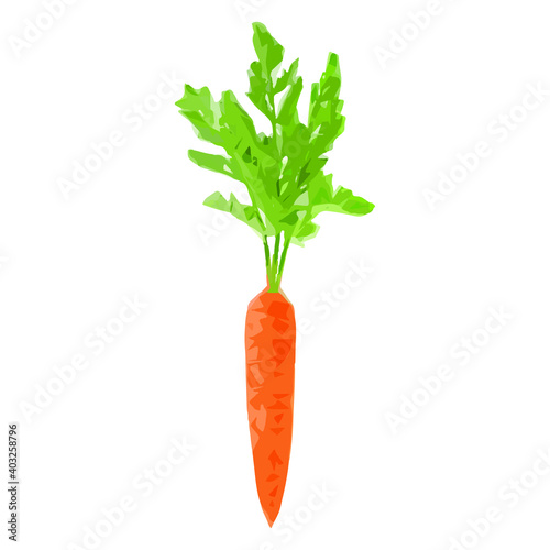 Low-level vector of a carrot