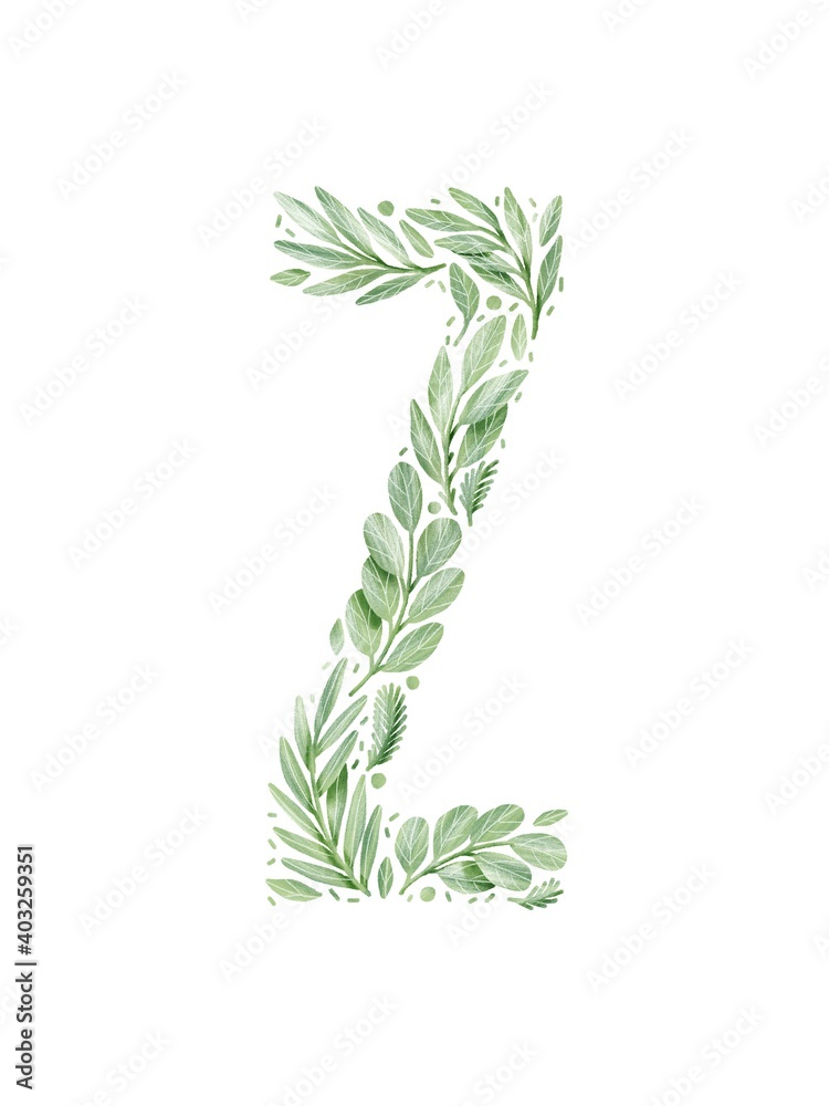 Obraz premium Letter Z made from green leaves. Floral letterZ. Green leaves lettering. Negative space lettering. Floral lettering isolated on white background.