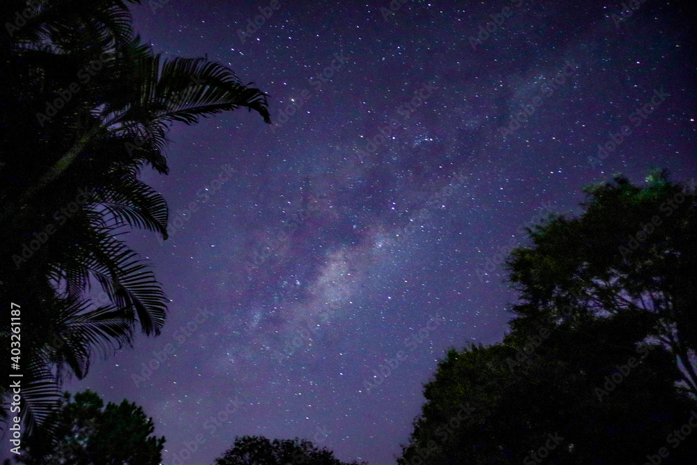 Naklejka premium starry night sky