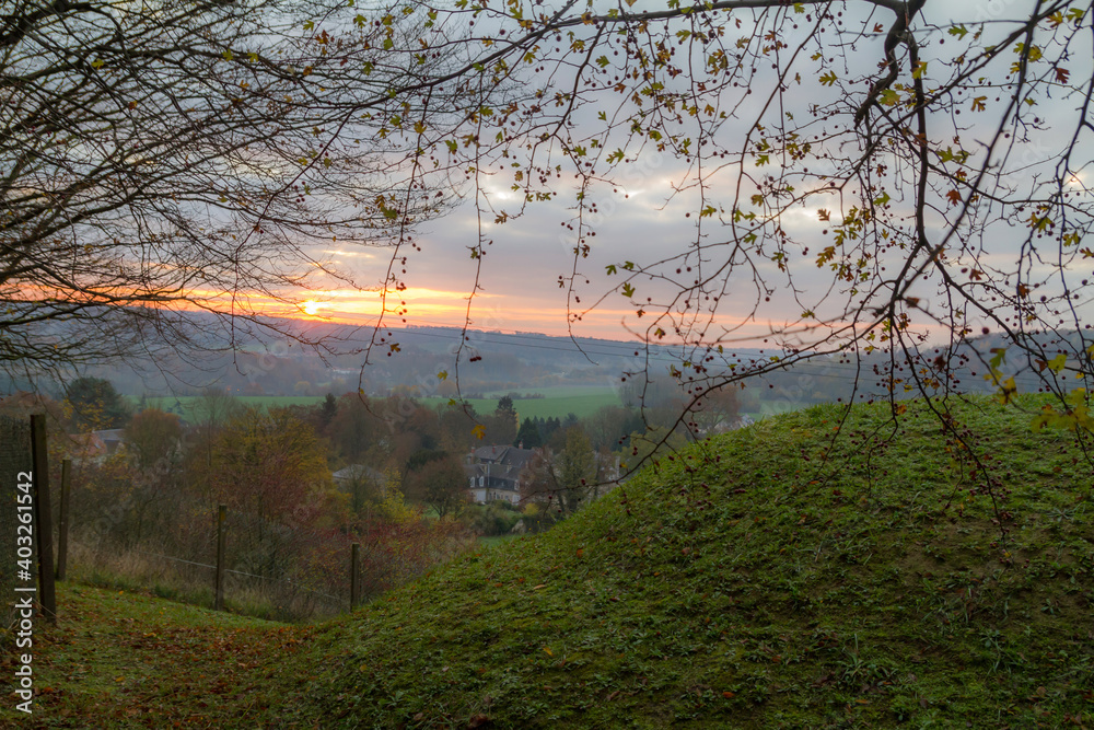 Fototapeta premium morning in the forest