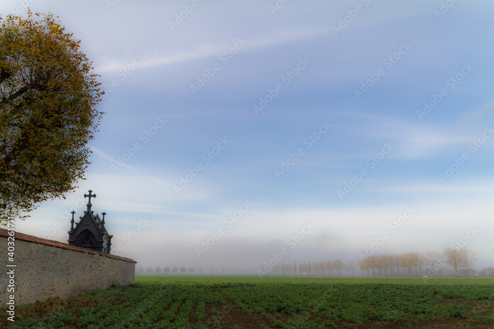 Fototapeta premium windmill in the field