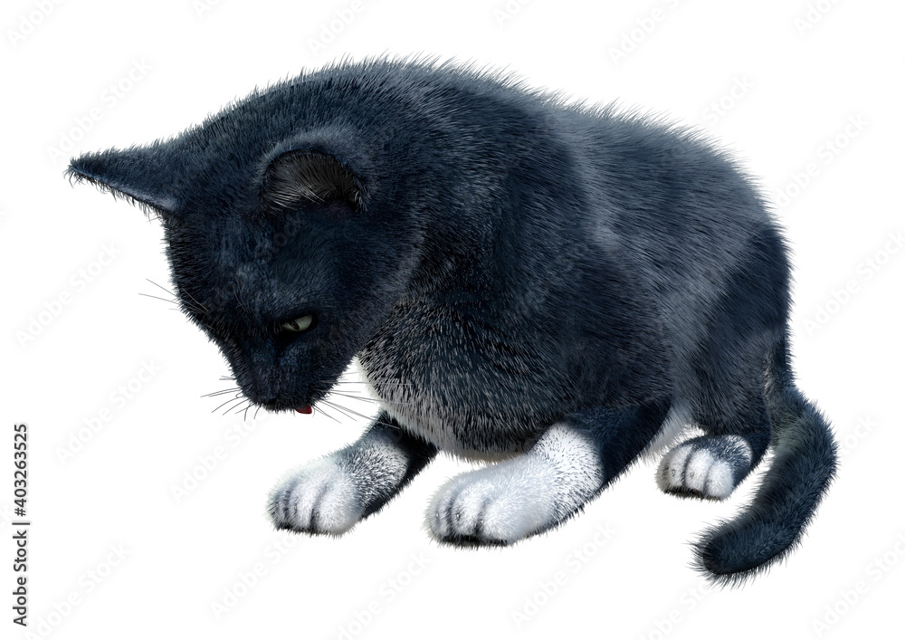 3D Rendering Black Cat on White 3D Rendering Black Cat on White