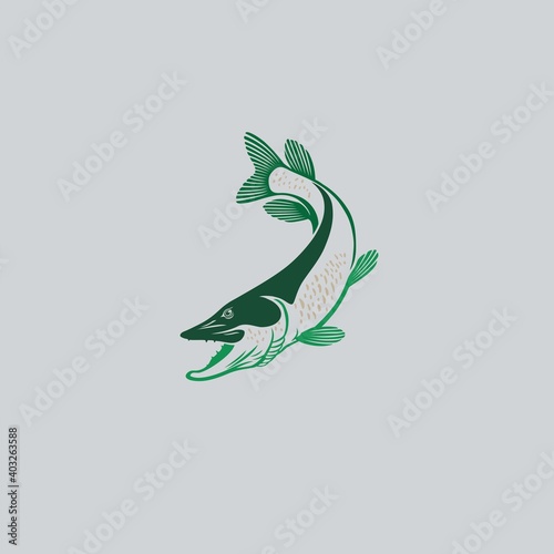 pike fish