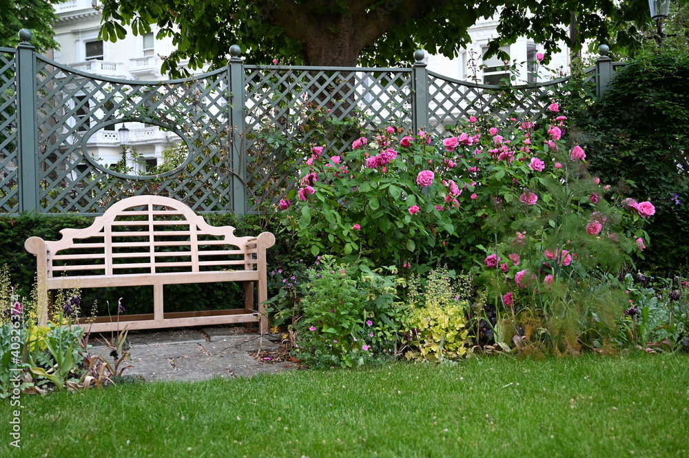 Bench and rose bush in a garden Bench and rose bush in a garden