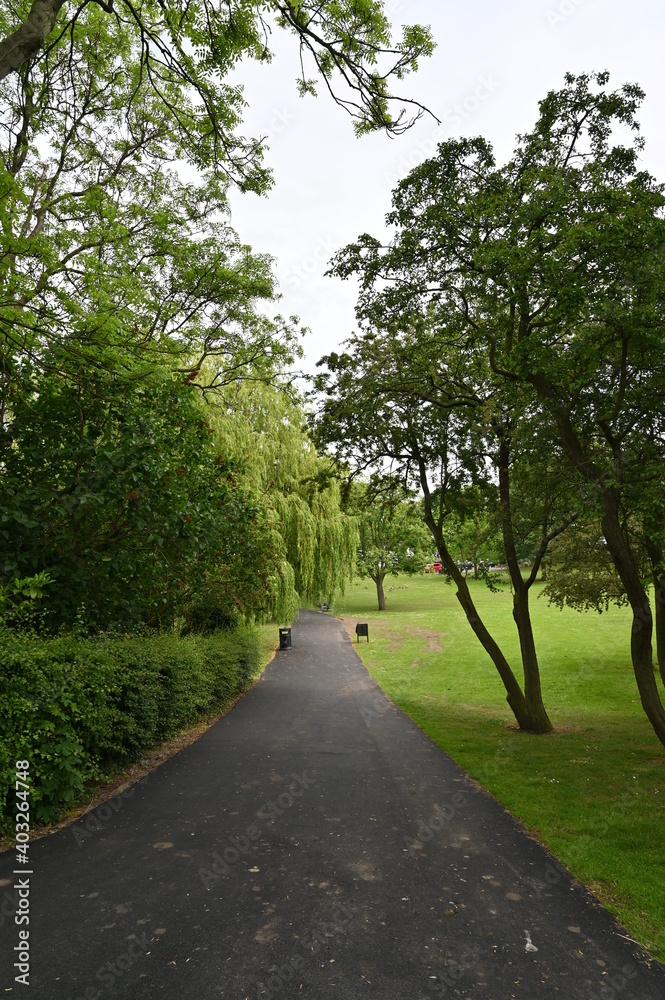 Path in the park