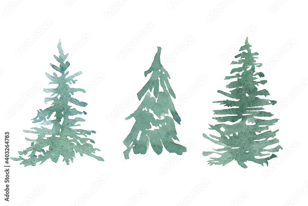 watercolor clipart of pine trees, sketch of spruce, cedar, pine. Evergreen trees for cards, logos, invitations, posters
