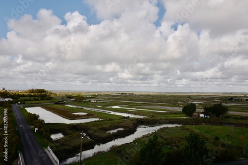 Mornac sur Seudre photo