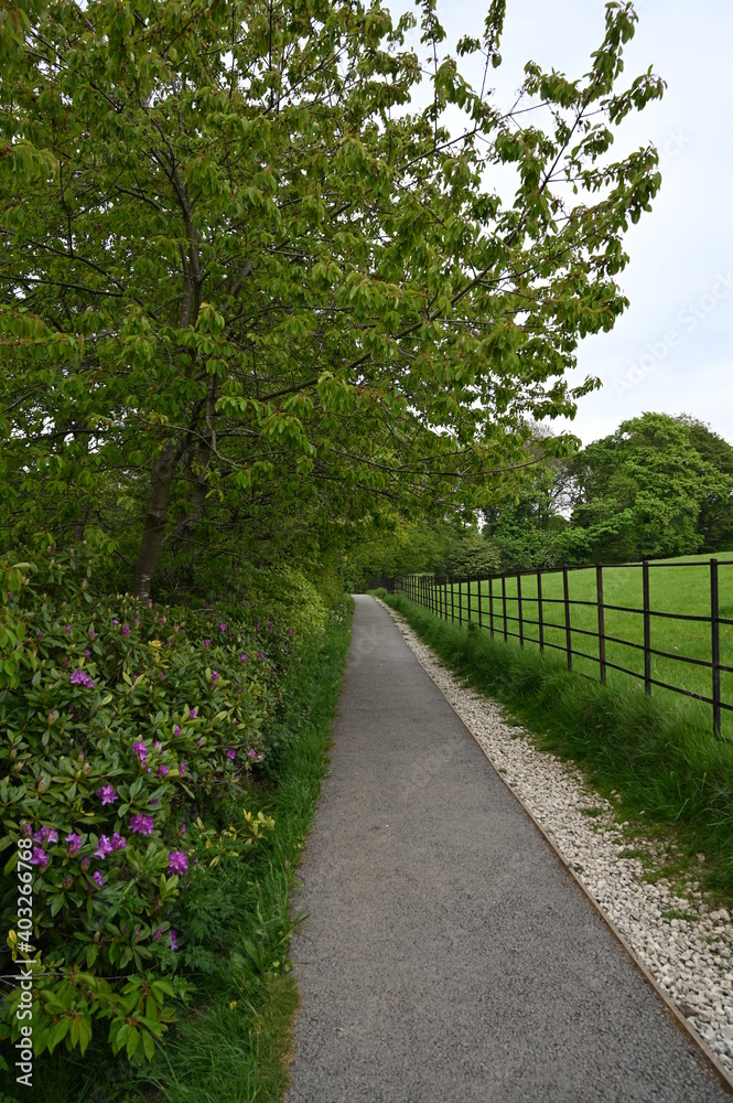 Footpath in a garden Footpath in a garden