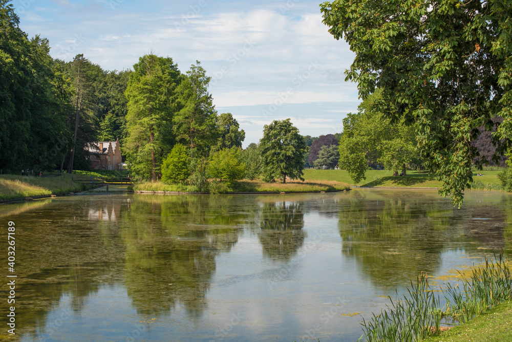 lake in the park