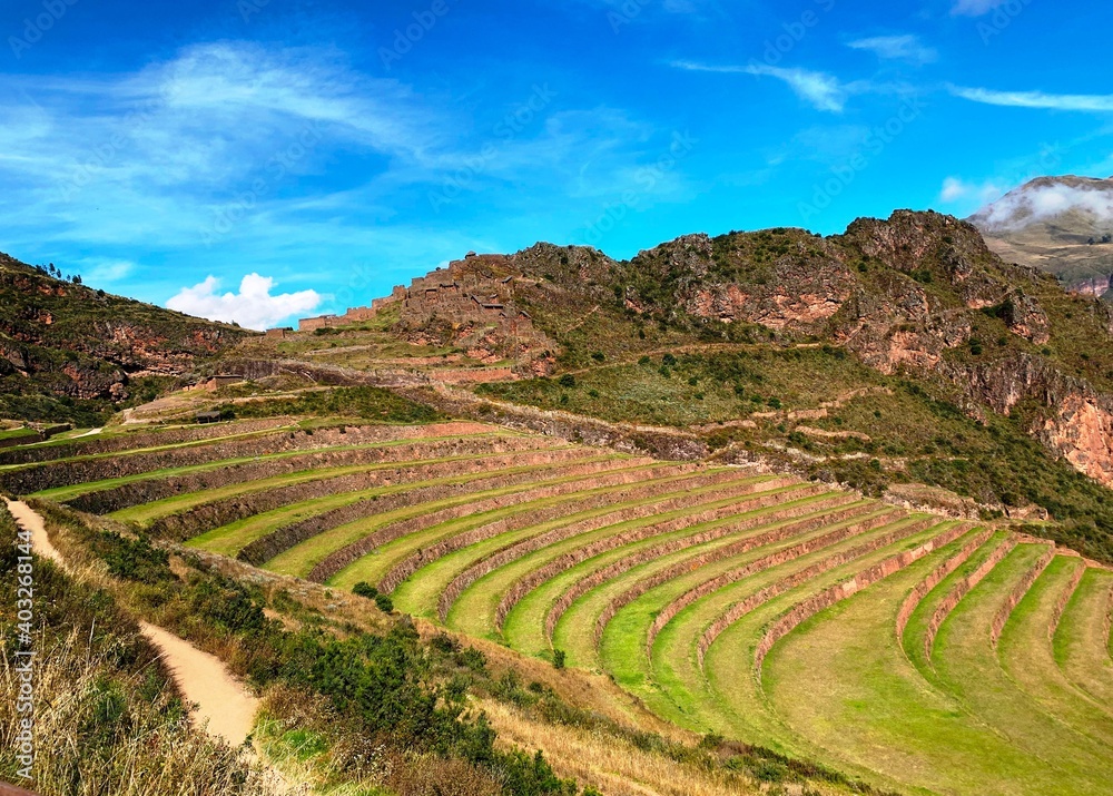 Inca terraces in Sacred Valley Terraced fields in Peru Andes mountains, Cuzco region, Pisac ancient citadel, sunny day, green grass meadow, majestic landscape. Peruvian agriculture.