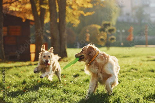 Photography Running with frisbee