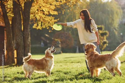 Photography Playing frisbee