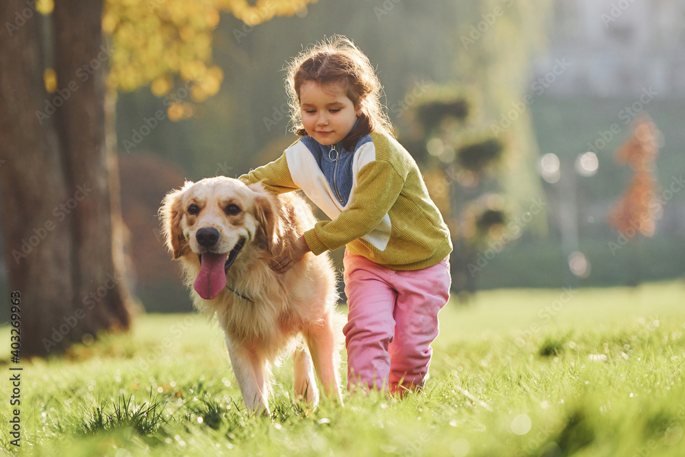 Little girl have a walk with Golden Retriever dog in the park at daytime