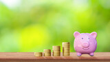Coin and piggy bank for saving money on wooden table and blurred green nature background.
