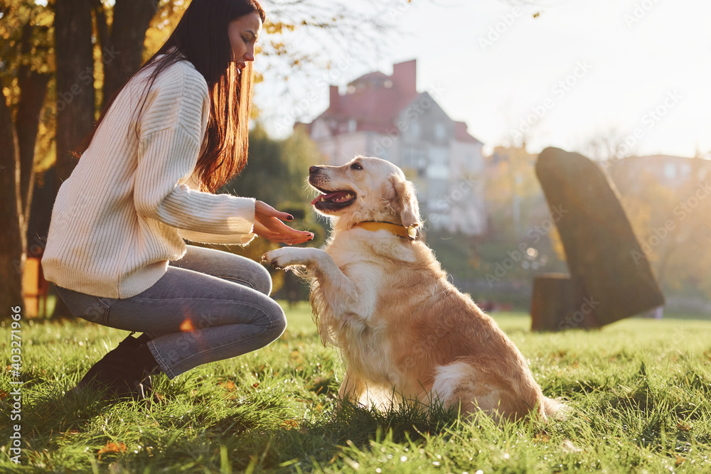 Young woman have a walk with Golden Retriever in the park