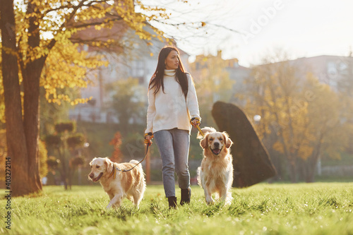Brunette walks with two Golden Retriever dogs in the park at daytime