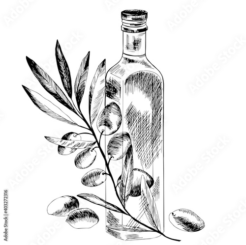 Bottle of oil with green olives and olive oil labels. Vector hand drawn illustration, for olive oil labels, packaging design.Vector sketches with transparent background