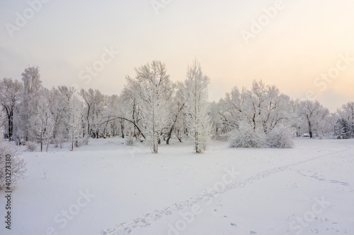 Winter landscape trees covered with hoarfrost