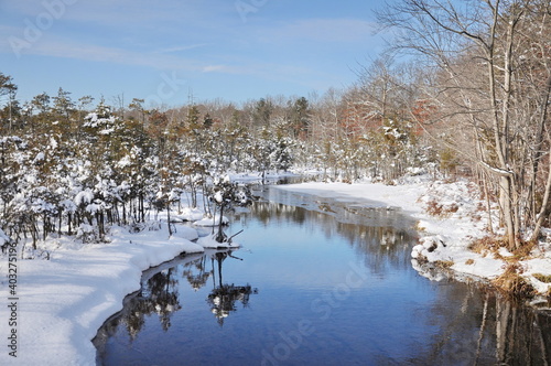 A New Jersey Pine Barrens woodland stream after a fresh snowfall