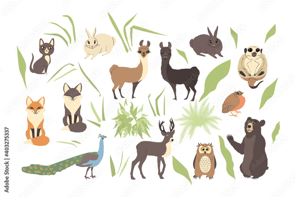 Fototapeta premium Flat style cute boho woodland animals set. Isolated on white background.