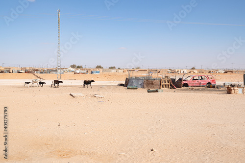 campi rifugiati nel Sara occidentale photo