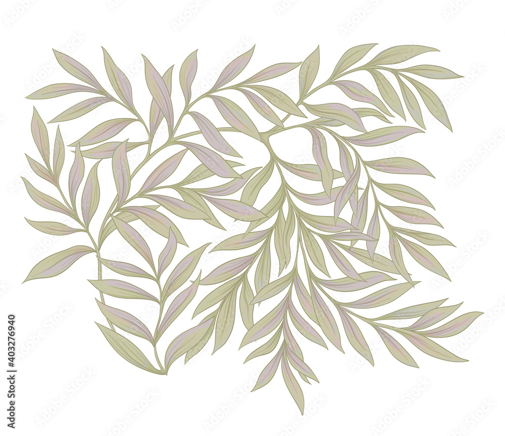 Floral motif of intertwined branches and leavesIn art nouveau style, vintage, old, retro style. Colored vector illustration.