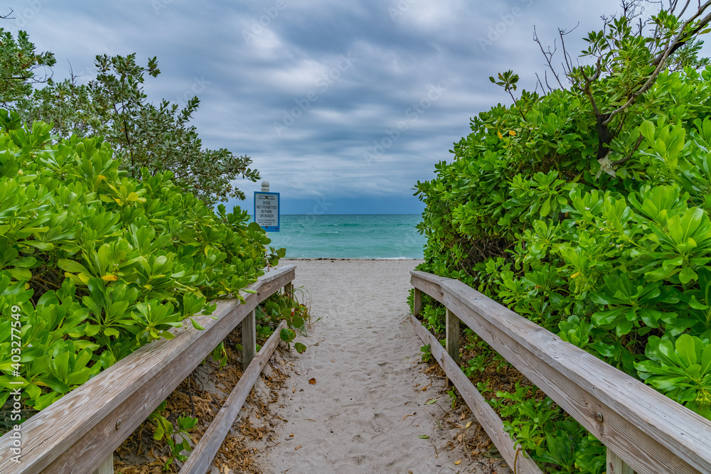 Obraz premium wooden bridge to the ocean