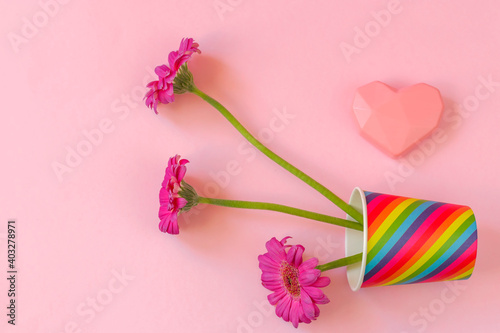 Valentines Day. Paper cup rainbow and gerbera, heart on soft pink background. The concept of gay pride, LGBT community, adoption and human rights. Freedom of choice.