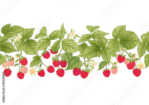 Raspberry. Ripe berries on branch. Seamless pattern, background. Graphic drawing, engraving style. Vector illustration