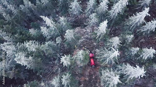 Logging Machine in the woods. Forest machinery, Cutting trees aerial shot