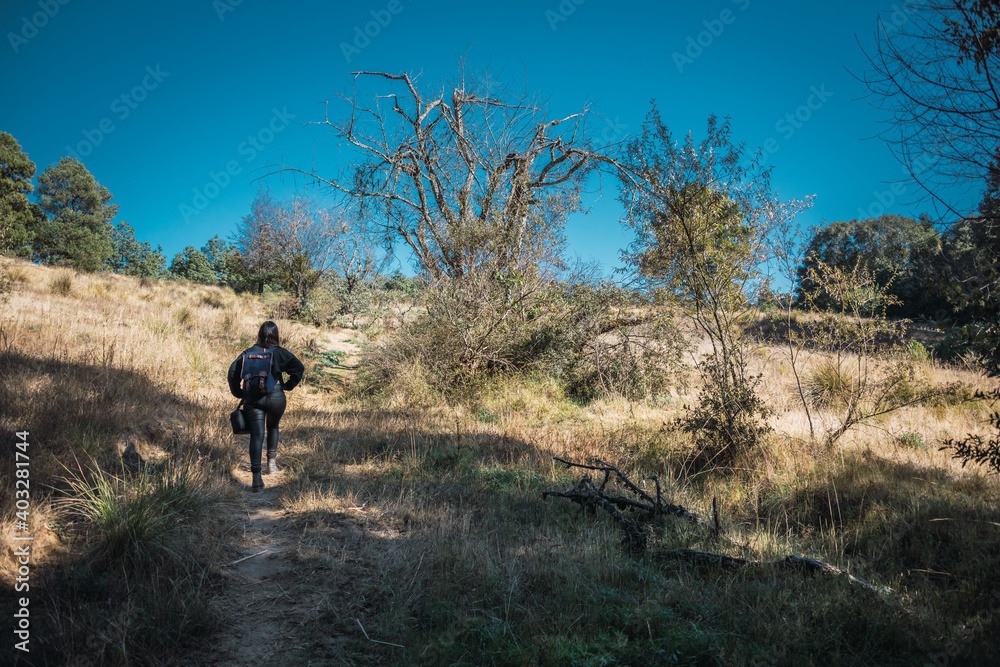 Adventurous girl walking through the forest, exploring new trails, dressed in black, with a blue backpack, hat and a black backpack. 2