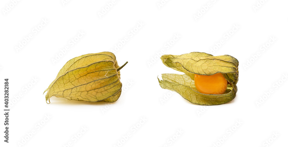 Healthy Cape Gooseberry (Physalis) isolated on white background Healthy Cape Gooseberry (Physalis) isolated on white background