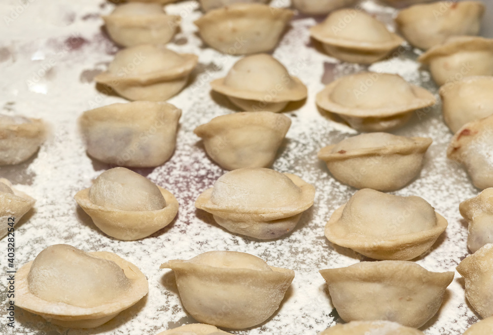 Raw dumplings laid out on white flour