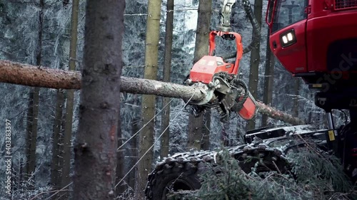 Logging Machine in the woods. Forest machinery, Cutting trees