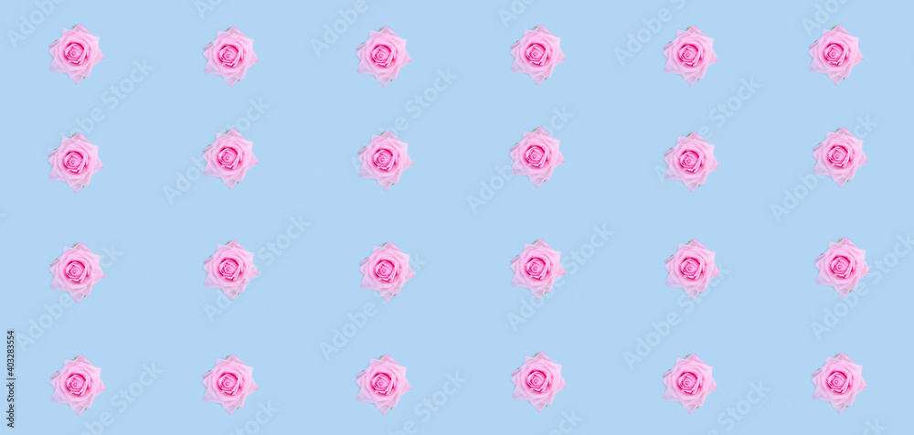 Valentine's Day banner background. Pattern of pink roses on a pastel blue background. Valentine's Day banner background. Pattern of pink roses on a pastel blue background.