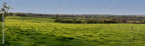 Scenic view of spring rural landscape of Oxfordshire, England
