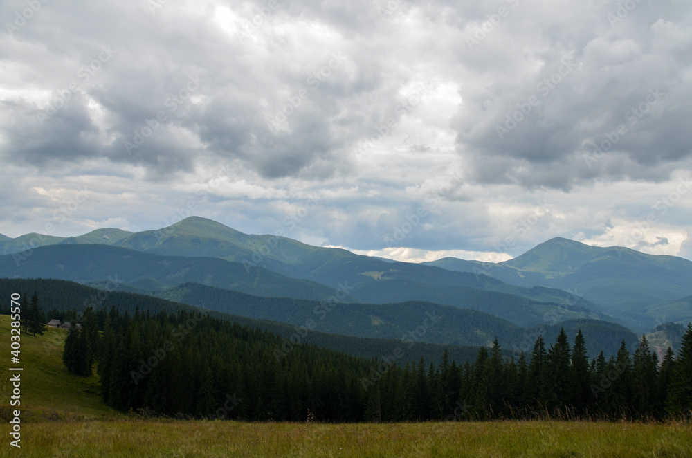 Beautiful view of the picturesque Chornohora ridge, spruce forest, grassy valley from meadow of Kukul under cloudy sky. Wild nature and mountains of the Carpathians, Ukraine