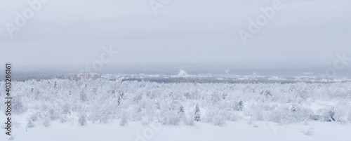 frosty winter panorama - a distant town in a valley in the middle of snowy forests in a frosty haze