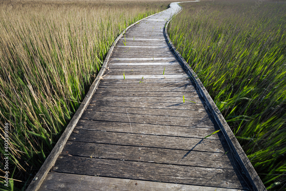 Wooden walkway through reef