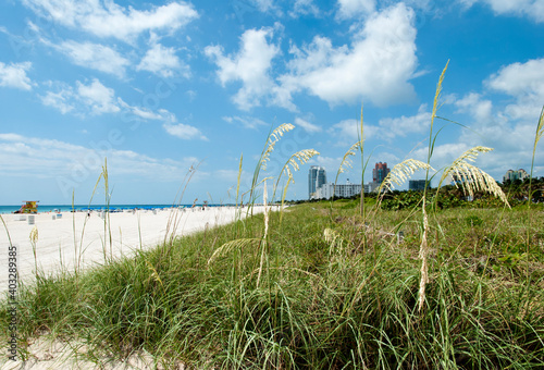 Miami South Beach Landscape