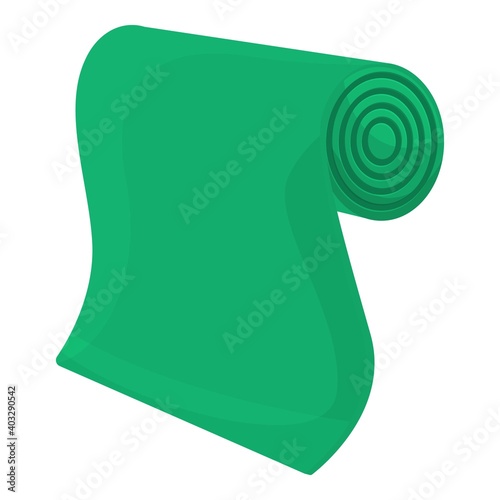 Mattress yoga mat icon. Cartoon of mattress yoga mat vector icon for web design isolated on white background